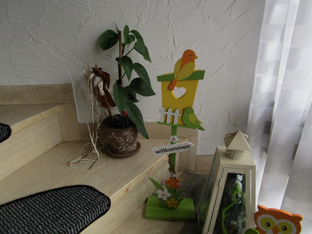 Apartment Albers Schmallenberg Εξωτερικό φωτογραφία